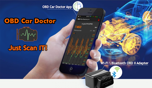inCarDoc Pro
