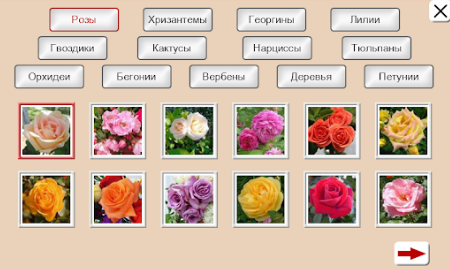 Угадай Цветок: Логические Пазлы для андроид