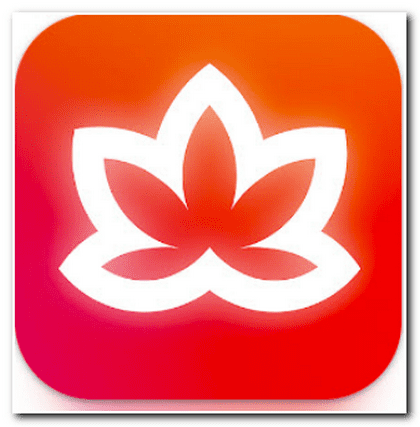 Meditative Mind 