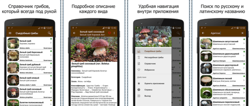 Скриншот приложения Грибы 