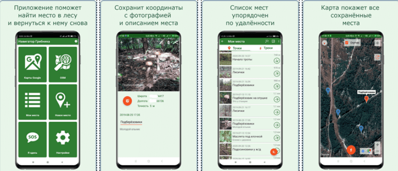 Скриншот приложения Навигатор Грибника