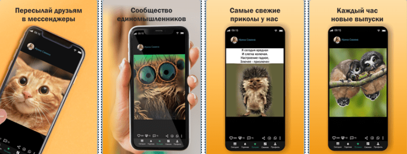 Скриншот приложения Гы-Гы приколы