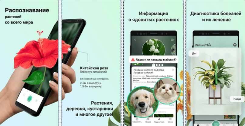 Скриншот приложения PictureThis - Plant Identification