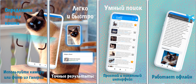 Скриншот приложения Породы кошек - идентификатор