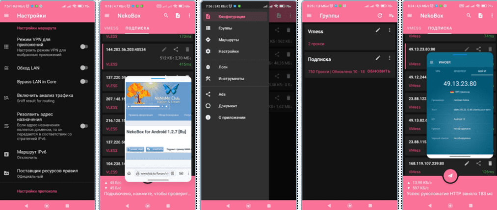 Скриншот приложения NekoBox for Android