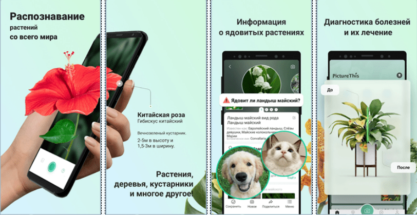 Скриншот приложения PictureThis - Plant Identification