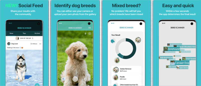 Скриншот приложения Dog Scanner: Породы собак